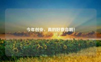今年创业，真的好费命啊！