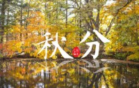 木叶落,秋分至,正是一年最美时