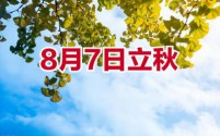 立秋习俗丰富多彩：从啃秋到贴秋膘