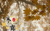 寒露至，秋意浓：迎接深秋的凉爽与变化