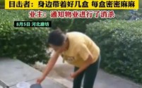 女子小区内放生蟑螂遭业主质疑，竟反怼引众怒