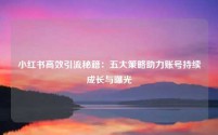 小红书高效引流秘籍：五大策略助力账号持续成长与曝光