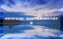 绿萝养护全攻略：解决叶子发黄问题的关键步骤