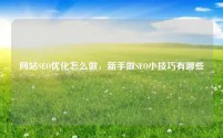 网站SEO优化怎么做，新手做SEO小技巧有哪些
