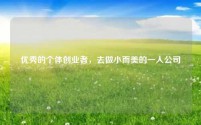 优秀的个体创业者，去做小而美的一人公司