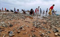 台风过后生蚝成“宝藏”，市民热情高涨组团赶海寻宝