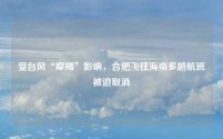 受台风“摩羯”影响,合肥飞往海南多趟航班被迫取消