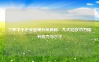 工业中小企业管理升级秘籍:九大招数助力提升能力与水平