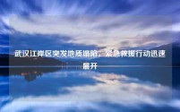 武汉江岸区突发地质塌陷，紧急救援行动迅速展开