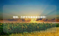 刚刚，合肥发布暴雨蓝色预警！
