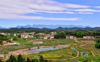 乡村路畅人渐稀：老家变迁的喜与忧