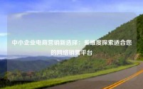 中小企业电商营销新选择：多维度探索适合您的网络销售平台