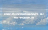 昆明野生菌市场见手青落潮期价格飙升,商户预测中秋前将持续上涨