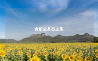 合肥业务员之家
