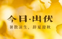 今日出伏,暑去凉来,迎秋意渐浓