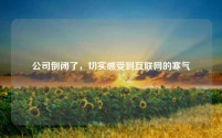 公司倒闭了，切实感受到互联网的寒气