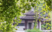 一夕之间，忽而中年