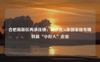 合肥高新区再添佳绩,新获批36家国家级专精特新“小巨人”企业
