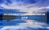 中小型企业应对产品过剩市场困境的策略与解决方案