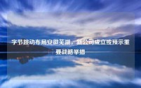 字节跳动布局安徽芜湖,新公司成立或预示重要战略举措
