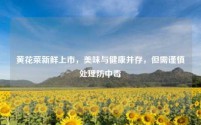 黄花菜新鲜上市,美味与健康并存,但需谨慎处理防中毒