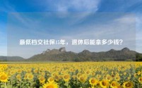 最低档交社保15年，退休后能拿多少钱？