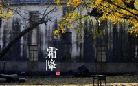 今日霜降：秋意浓，寒气至，迎冬序曲
