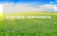2024年中小型企业：在内卷中寻求突围之道