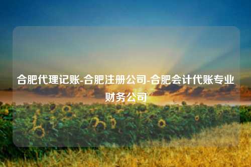 合肥代理记账-合肥注册公司-合肥会计代账专业财务公司