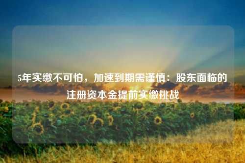 5年实缴不可怕,加速到期需谨慎:股东面临的注册资本金提前实缴挑战