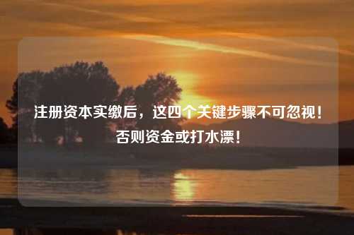 注册资本实缴后,这四个关键步骤不可忽视!否则资金或打水漂!