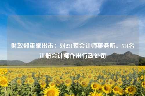 财政部重拳出击:对231家会计师事务所、514名注册会计师作出行政处罚