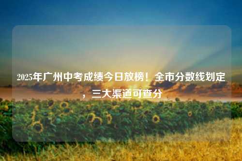 2025年广州中考成绩今日放榜！全市分数线划定，三大渠道可查分