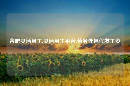 合肥灵活用工,灵活用工平台,劳务外包代发工资