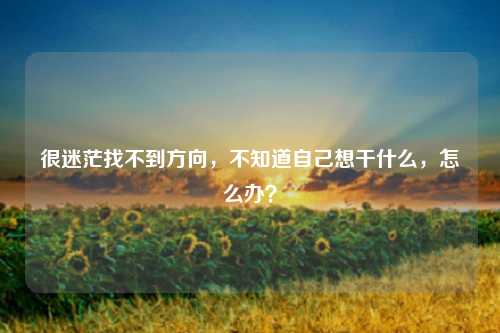 很迷茫找不到方向，不知道自己想干什么，怎么办？
