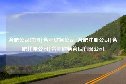 合肥公司注册|合肥财务公司|合肥注册公司|合肥代帐公司|合肥财务管理有限公司