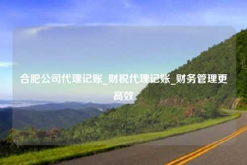 合肥公司代理记账_财税代理记账_财务管理更高效