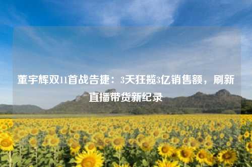 董宇辉双11首战告捷:3天狂揽3亿销售额,刷新直播带货新纪录