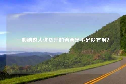 一般纳税人进货开的普票是不是没有用?