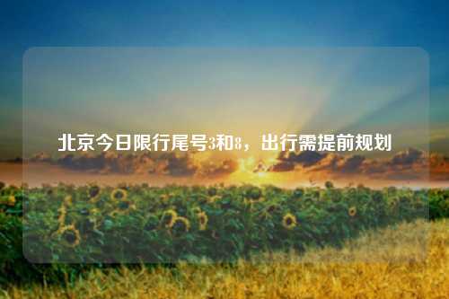 北京今日限行尾号3和8,出行需提前规划