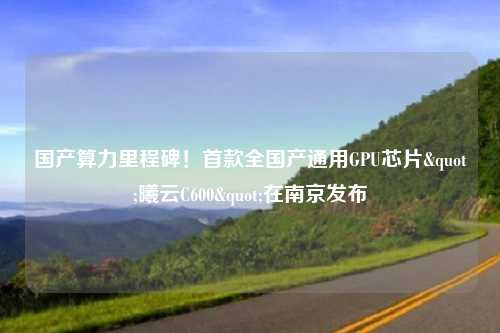 国产算力里程碑!首款全国产通用GPU芯片"曦云C600"在南京发布