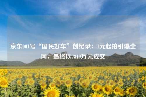 京东001号“国民好车”创纪录:1元起拍引爆全网,最终以7819万元成交